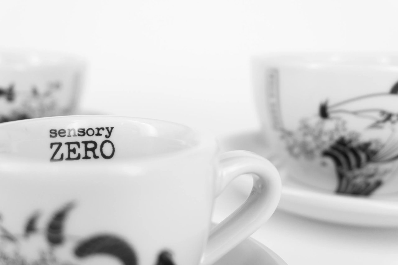 Sensory Zero From Zeroto Hero
